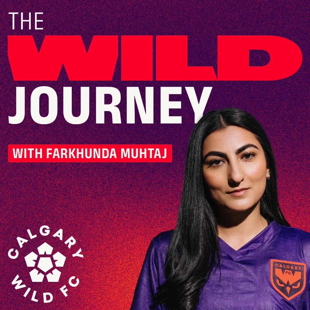 THE WILD JOURNEY