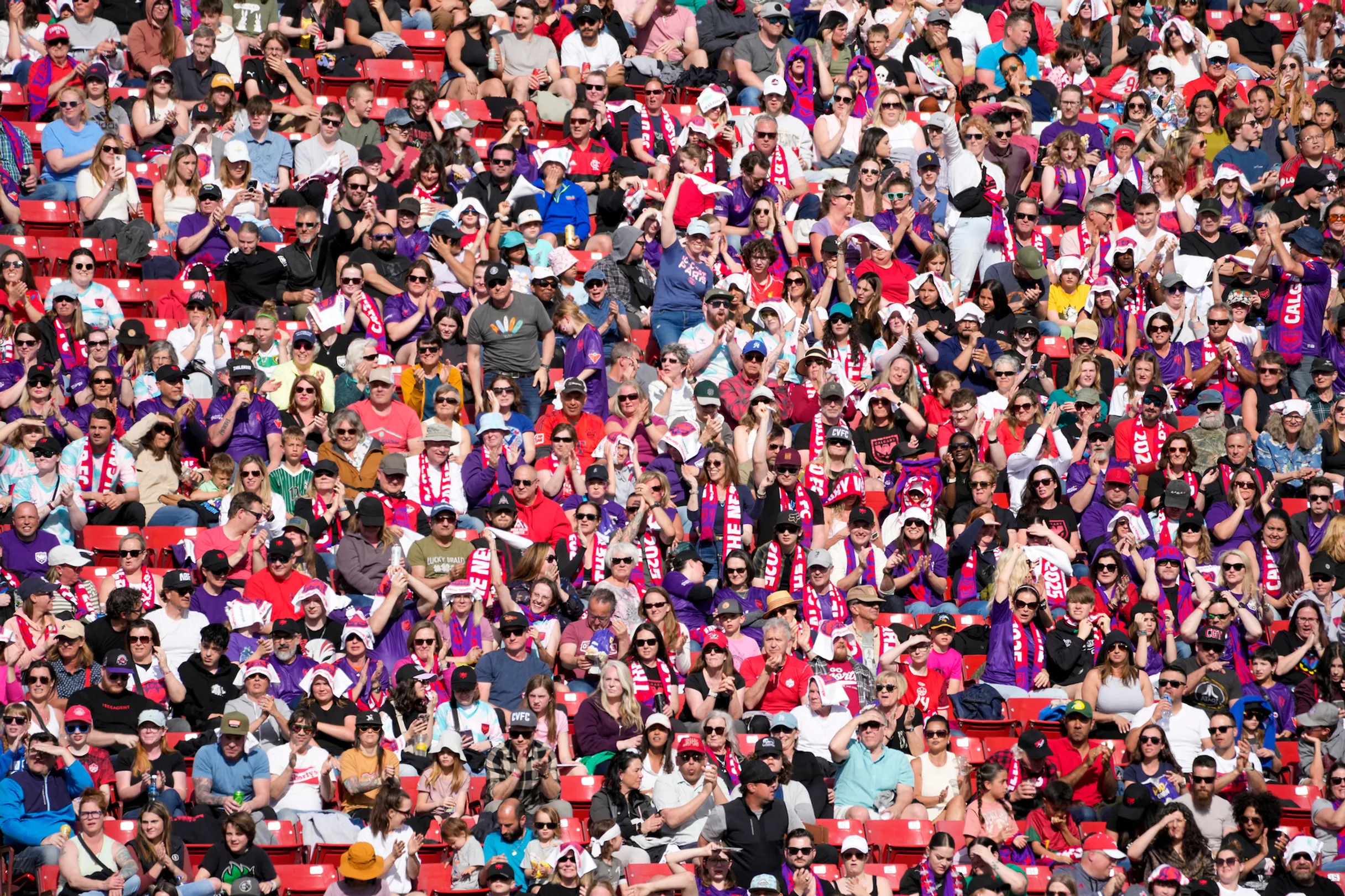 Calgary Wild FC supporters celebrating in the stands